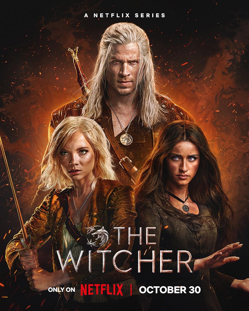 Pôster de The Witcher